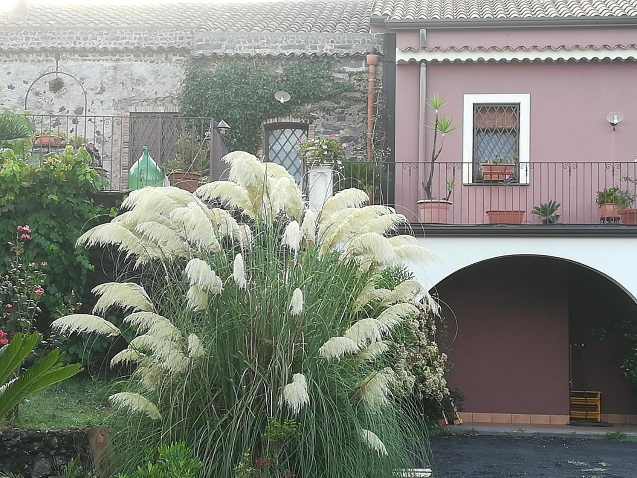 Bed and Breakfast Etnante Zafferana Etnea Exteriér fotografie